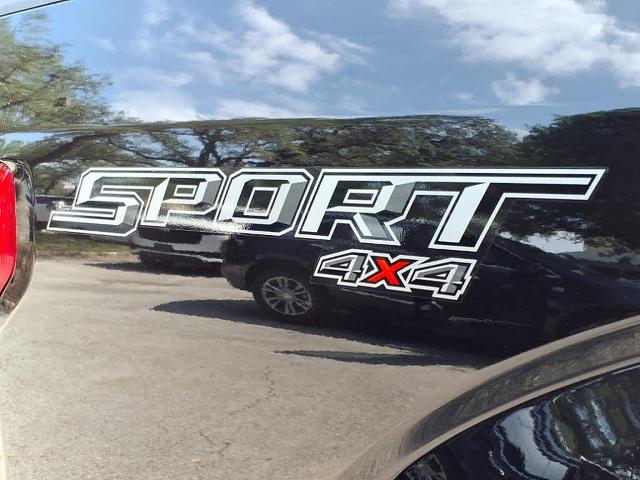 2020 Ford F-150 Vehicle Photo in San Antonio, TX 78230-1001
