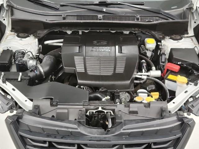 2024 Subaru Forester Vehicle Photo in Green Bay, WI 54304