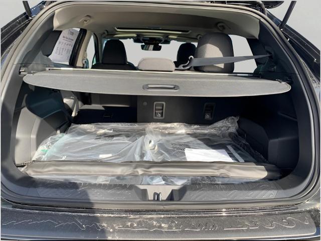 2025 Subaru Crosstrek Vehicle Photo in Oshkosh, WI 54904