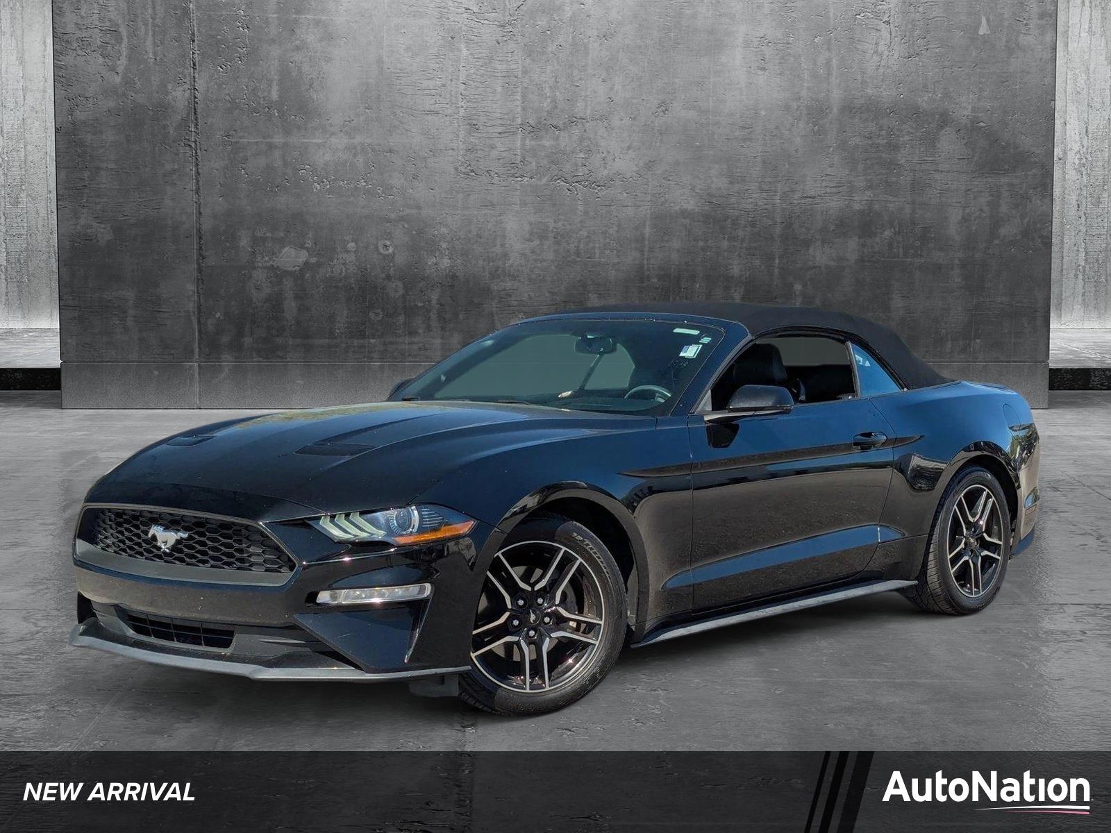 2019 Ford Mustang Vehicle Photo in St. Petersburg, FL 33713