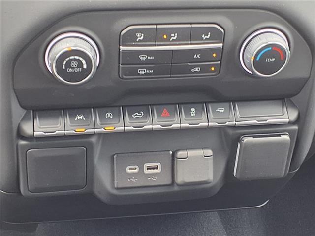 2023 Chevrolet Silverado 1500 Vehicle Photo in ELGIN, TX 78621-4245