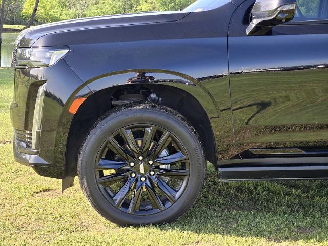 2022 Cadillac Escalade Vehicle Photo in DENTON, TX 76210-9321