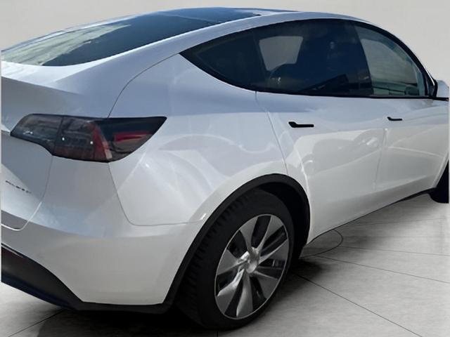 2021 Tesla Model Y Vehicle Photo in Appleton, WI 54913