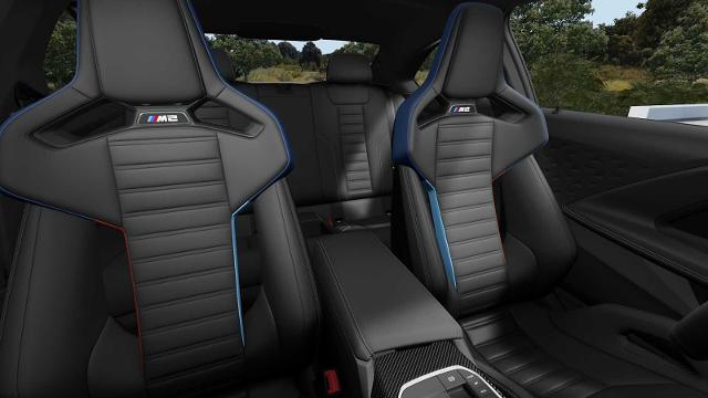 2025 BMW M2 Vehicle Photo in GRAPEVINE, TX 76051