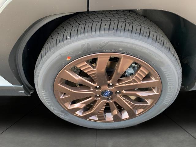 2025 Subaru Forester Vehicle Photo in Oshkosh, WI 54904