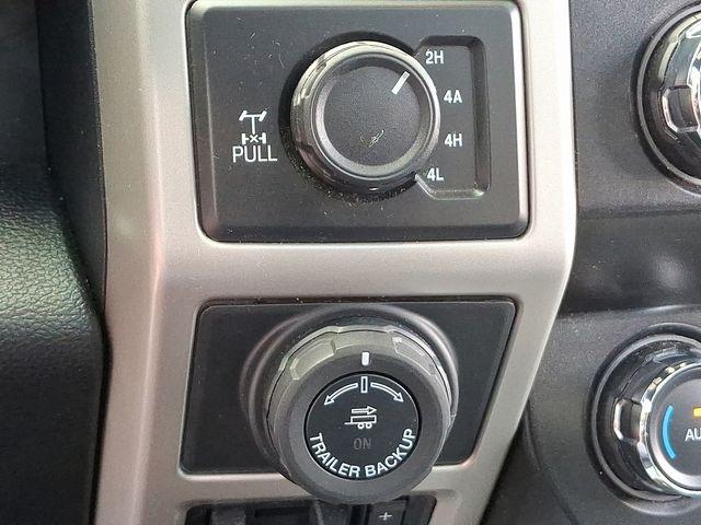 2020 Ford F-150 Vehicle Photo in DANBURY, CT 06810-5034