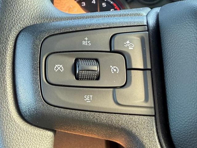 2025 Chevrolet Silverado 1500 Vehicle Photo in COLUMBIA, MO 65203-3903