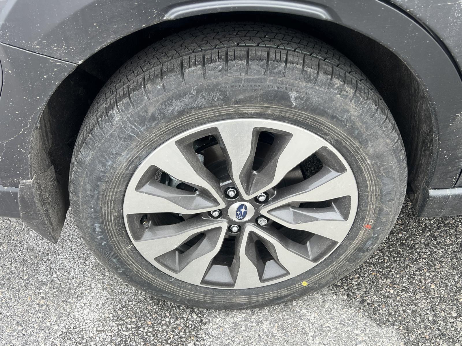 2025 Subaru Outback Vehicle Photo in Mechanicsburg, PA 17050