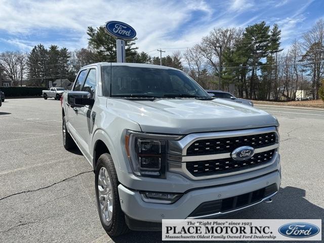2023 Ford F-150 Vehicle Photo in Webster, MA 01570-1415