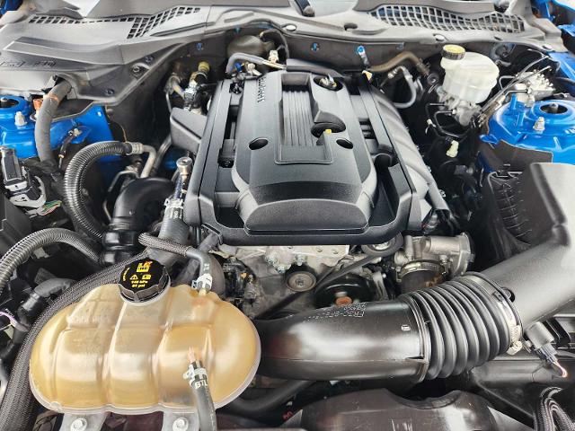 2019 Ford Mustang Vehicle Photo in DALLAS, TX 75209