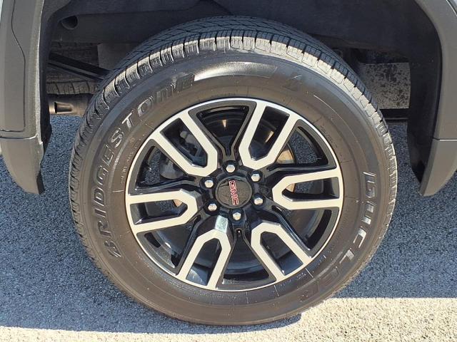 2024 GMC Sierra 1500 Vehicle Photo in Denton, TX 76205