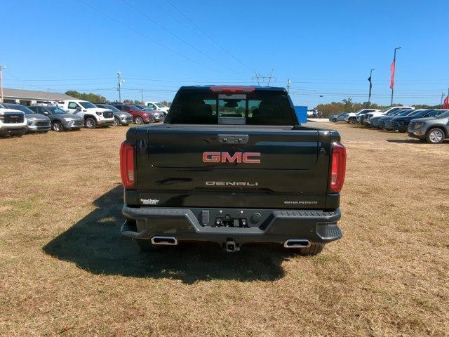 2025 GMC Sierra 1500 Vehicle Photo in ALBERTVILLE, AL 35950-0246