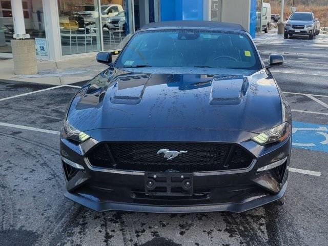 2022 Ford Mustang Vehicle Photo in Gardner, MA 01440