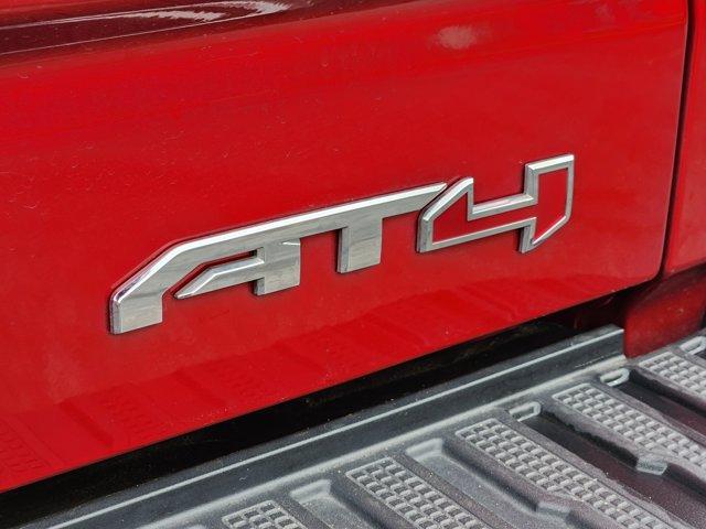 2024 GMC Sierra 1500 Vehicle Photo in Decatur, TX 76234
