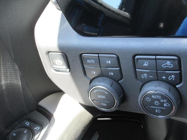 2025 Chevrolet Silverado 1500 Vehicle Photo in LEESBURG, FL 34788-4022