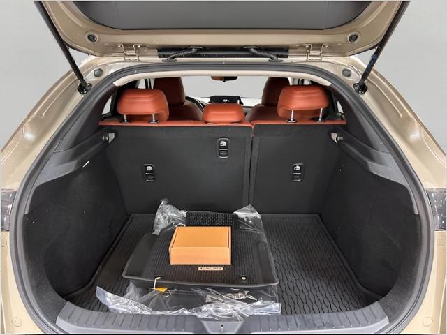 2025 Mazda CX-30 Vehicle Photo in Green Bay, WI 54304