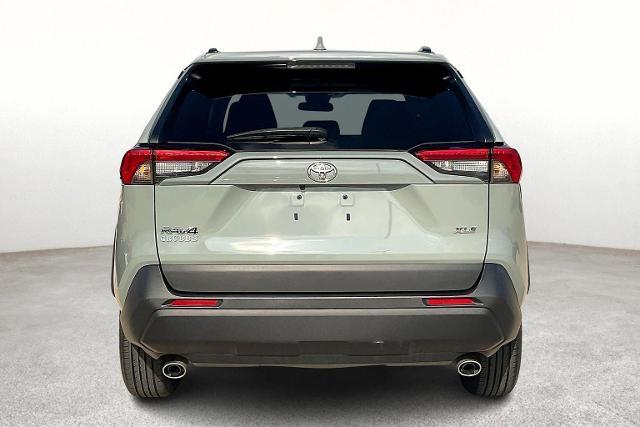2022 Toyota RAV4 Vehicle Photo in San Antonio, TX 78230