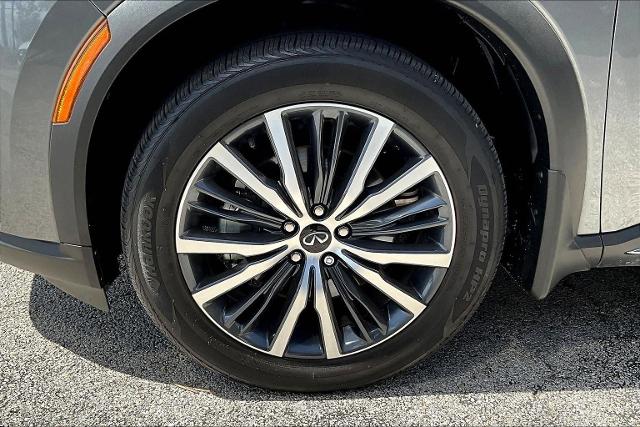 2024 INFINITI QX60 Vehicle Photo in San Antonio, TX 78230