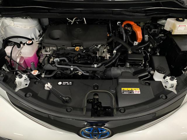 2021 Toyota Sienna Vehicle Photo in Appleton, WI 54913