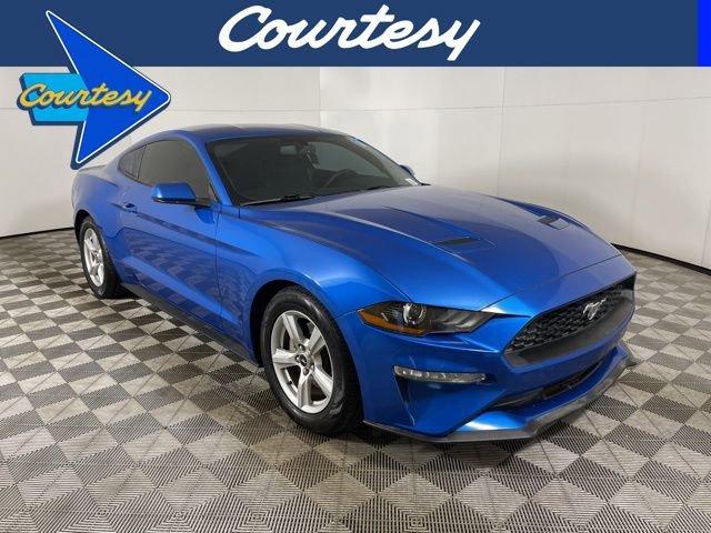 2019 Ford Mustang Vehicle Photo in PHOENIX, AZ 85014-3381