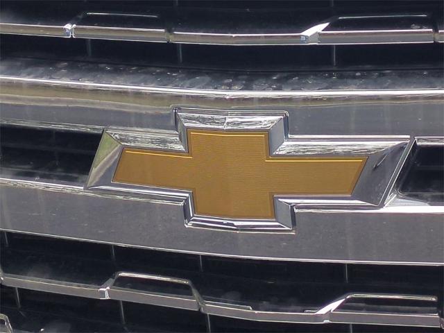 2019 Chevrolet Silverado 1500 Vehicle Photo in ALBERTVILLE, AL 35950-0246
