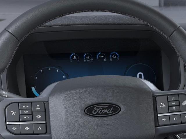 2025 Ford F-150 Vehicle Photo in Neenah, WI 54956