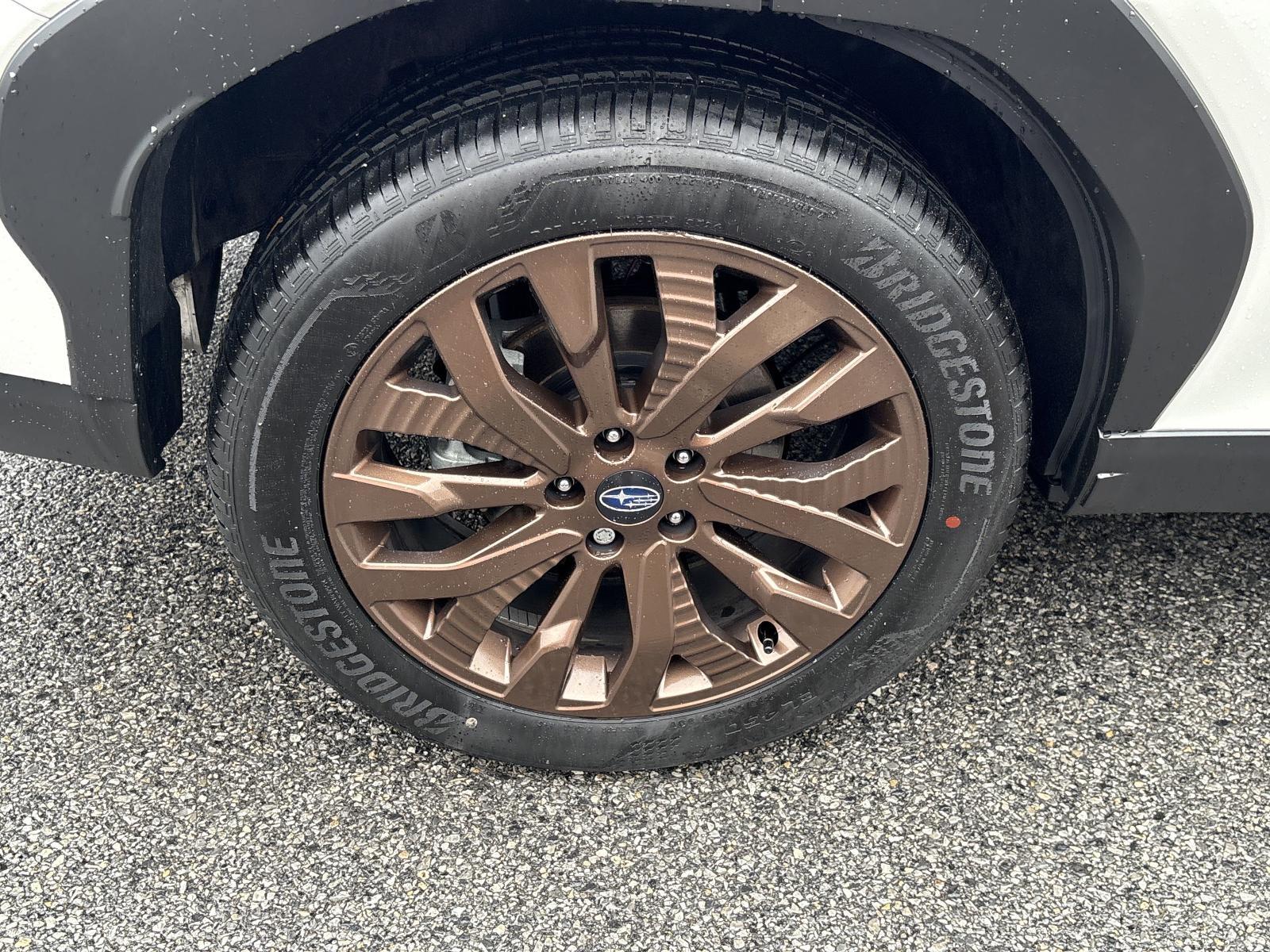 2025 Subaru Forester Vehicle Photo in Mechanicsburg, PA 17050