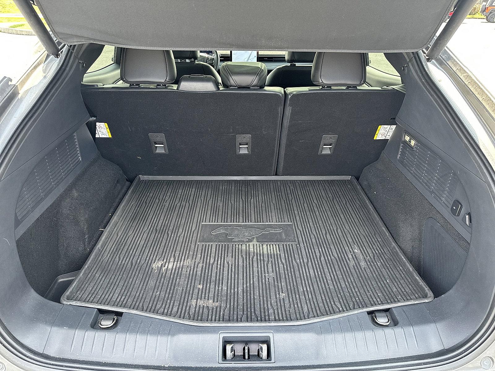 2021 Ford Mustang Mach-E Vehicle Photo in Lancaster, PA 17601