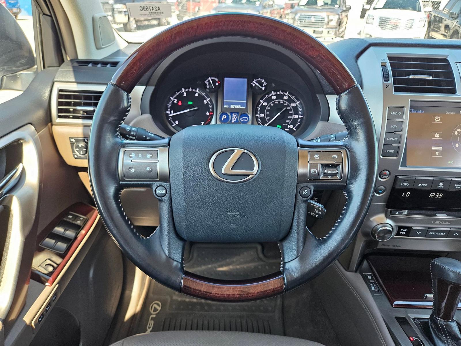 2017 Lexus GX 460 Vehicle Photo in Seguin, TX 78155