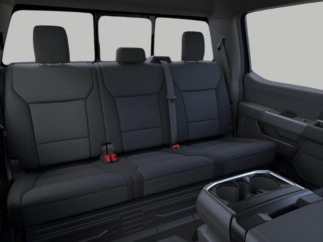 2025 Ford F-150 Vehicle Photo in Neenah, WI 54956