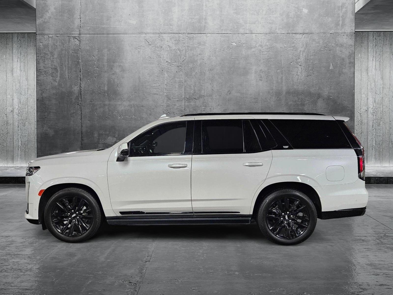 2023 Cadillac Escalade Vehicle Photo in Tampa, FL 33614