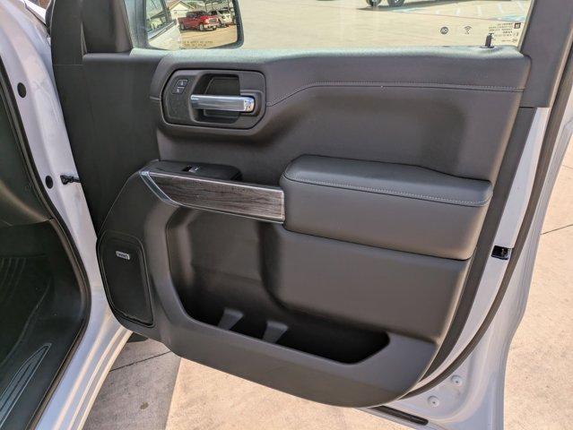 2019 Chevrolet Silverado 1500 Vehicle Photo in SELMA, TX 78154-1460