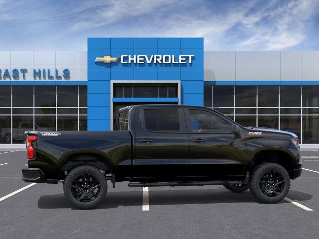 2025 Chevrolet Silverado 1500 Vehicle Photo in Roslyn, NY 11576