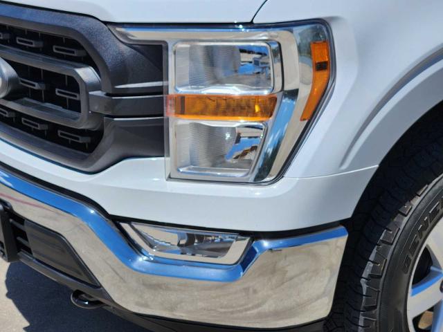 2022 Ford F-150 Vehicle Photo in DENTON, TX 76210-9321