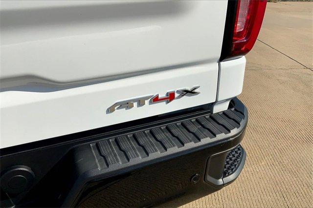 2024 GMC Sierra 1500 Vehicle Photo in TOPEKA, KS 66609-0000