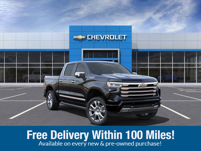 2025 Chevrolet Silverado 1500 Vehicle Photo in SAVANNAH, GA 31406-4513