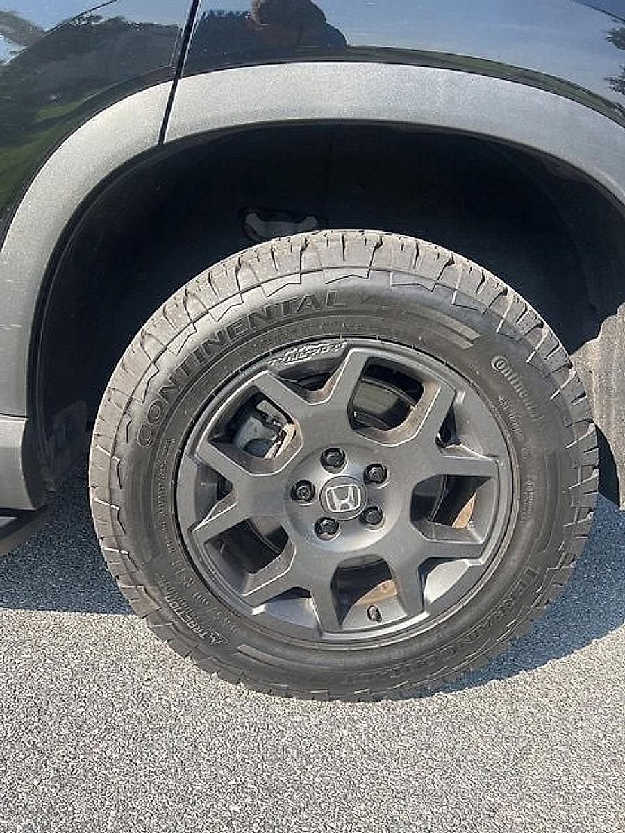2023 Honda Pilot Vehicle Photo in Harrisburg, PA 17111