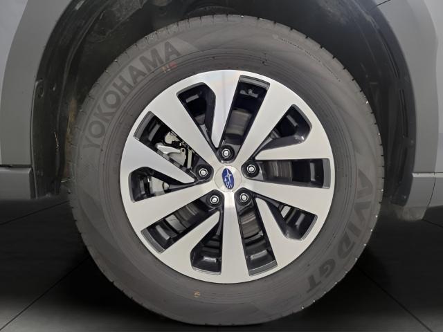 2024 Subaru Outback Vehicle Photo in Appleton, WI 54913