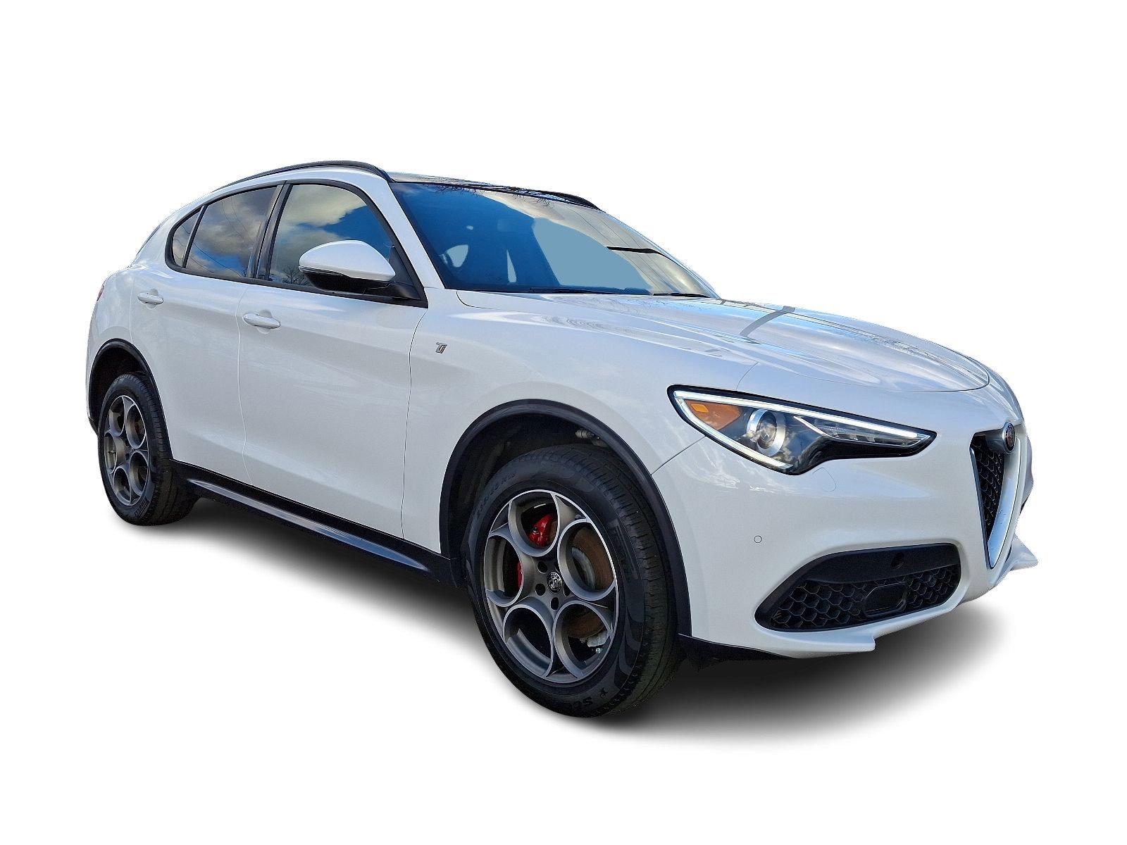 2022 Alfa Romeo Stelvio Vehicle Photo in Willow Grove, PA 19090