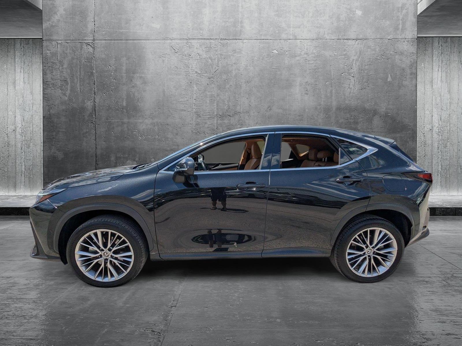 2022 Lexus NX 350h Vehicle Photo in Tampa, FL 33614