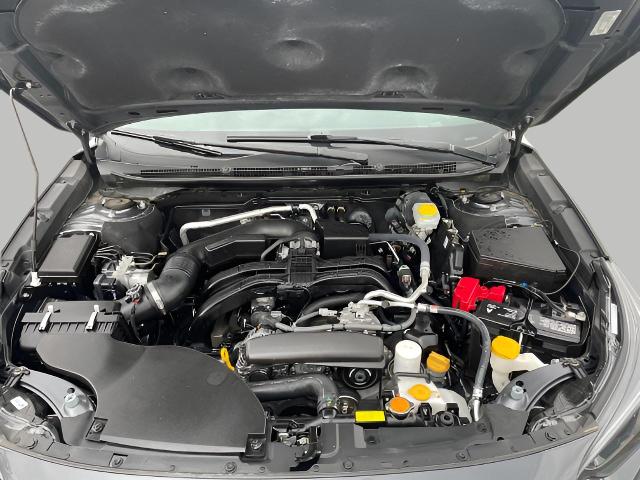 2024 Subaru Outback Vehicle Photo in Oshkosh, WI 54904