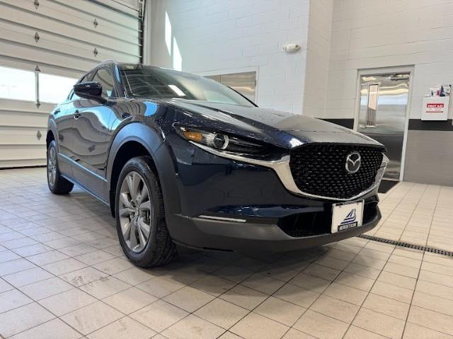 2025 Mazda CX-30 Vehicle Photo in Green Bay, WI 54304