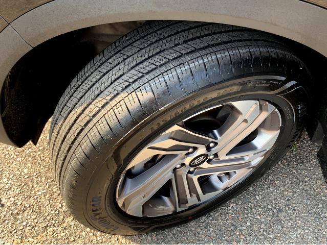2023 Hyundai SANTA FE Vehicle Photo in BEAUFORT, SC 29906-4218