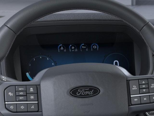 2025 Ford F-150 Vehicle Photo in Neenah, WI 54956