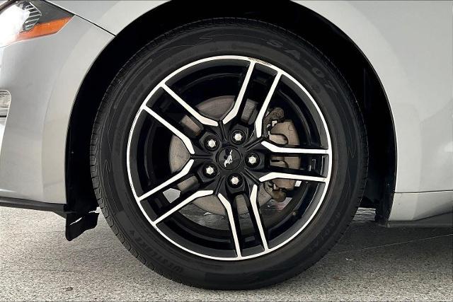 2023 Ford Mustang Vehicle Photo in San Antonio, TX 78230