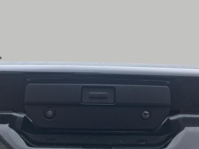 2020 GMC Sierra 1500 Vehicle Photo in GREEN BAY, WI 54303-3330