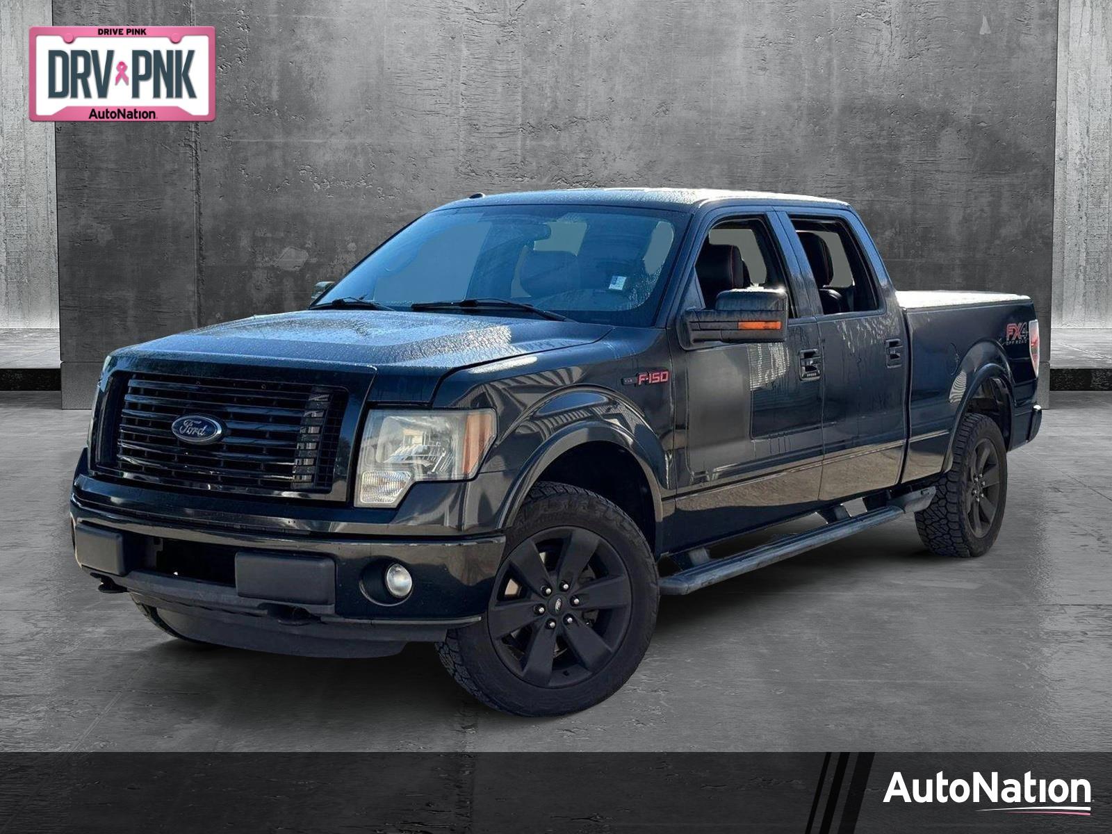 2012 Ford F-150 Vehicle Photo in Jacksonville, FL 32256