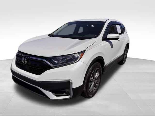 2021 Honda CR-V Vehicle Photo in DELRAY BEACH, FL 33483-3294