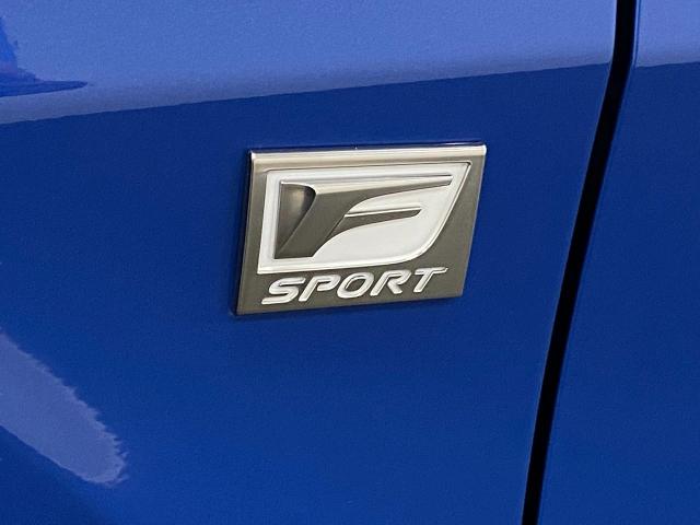 2022 Lexus RX 350 Vehicle Photo in Appleton, WI 54913