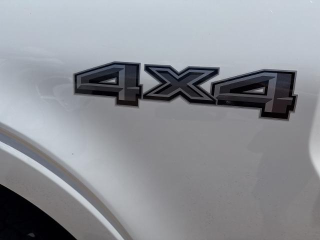 2024 Ford F-150 Vehicle Photo in Weatherford, TX 76087